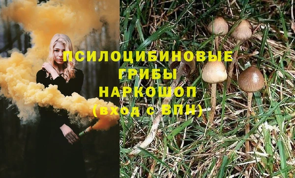 хмурый Инсар