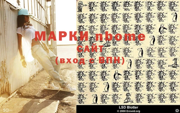 хмурый Инсар