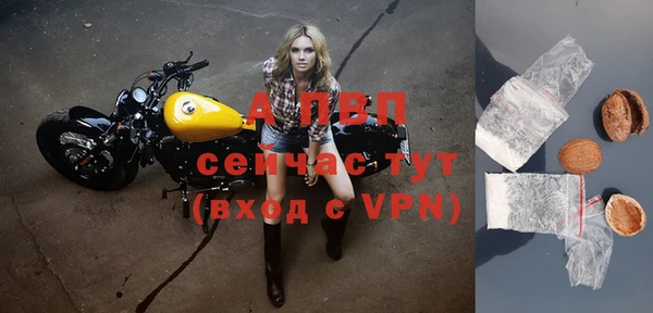 сатива Шадринск