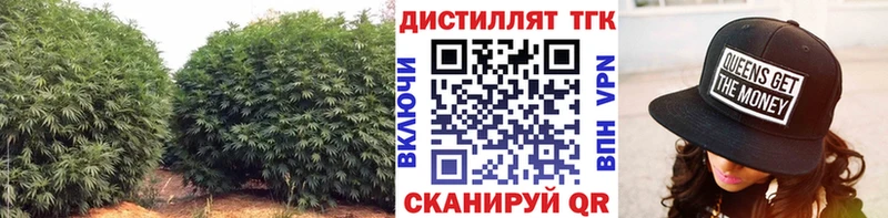 Купить закладки  Чапаевск  ТГК жижа 